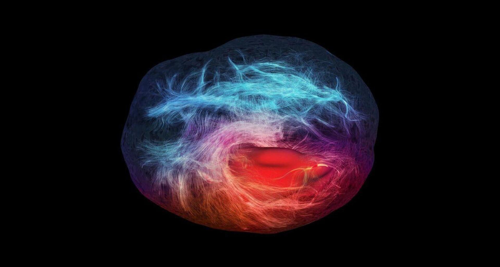 Depressione: scoperti neuroni pigri ad UniTo, nuove cure