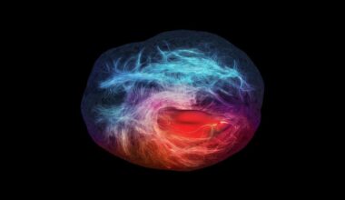 Depressione: scoperti neuroni pigri ad UniTo, nuove cure