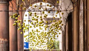 Davis Cup, sotto i portici di San Felice 500 palline appese: è l’installazione Second serve
