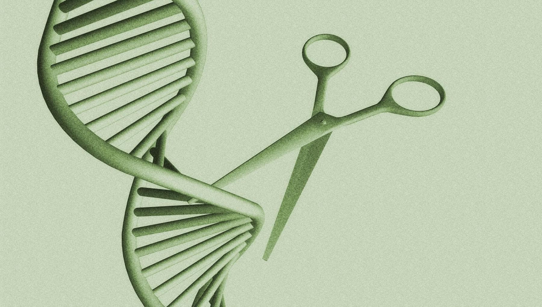 Colesterolo cattivo e trigliceridi, la terapia genica li dimezza: ecco come funziona