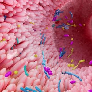 Contro il cancro anche un batterio può essere utile