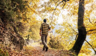 gli effetti benefici in uno studio di Harvard