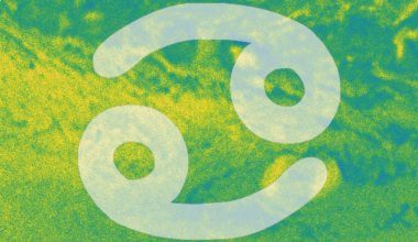 L'Oroscopo di novembre 2025 per il segno del Cancro