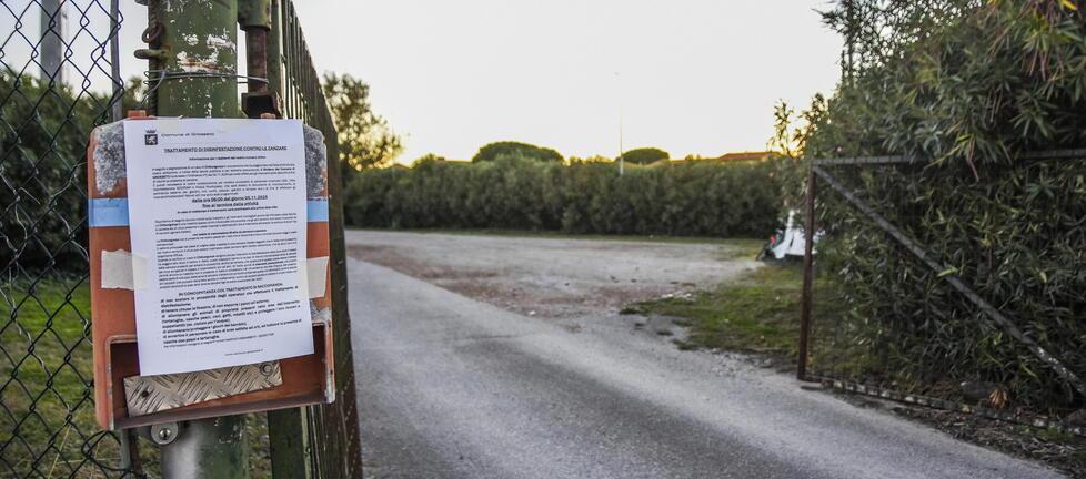 Virus Chikungunya a Grosseto, scatta la disinfestazione: la zona e cosa fare