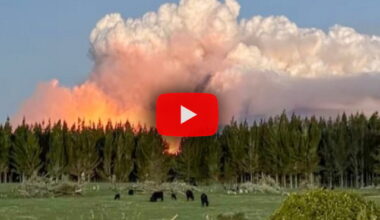 il 'Mordor' del Signore degli Anelli avvolto dal fuoco (Video)