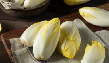 Indivia belga, l’insalata ideale nei mesi freddi per integrare acqua e fibre e combattere lo stress