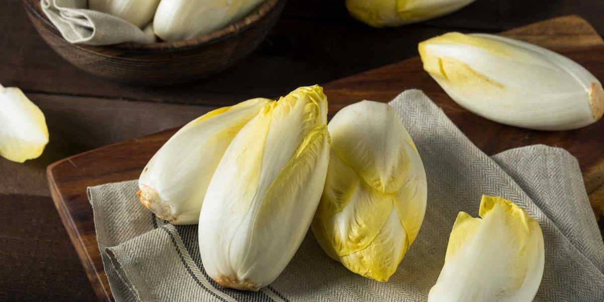 Indivia belga, l’insalata ideale nei mesi freddi per integrare acqua e fibre e combattere lo stress