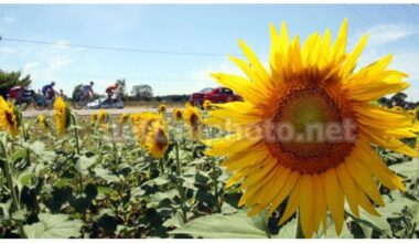 ADDIO ALLA MAMMA DI STEFANO DI SANTO, CARTOGRAFO DEL GIRO