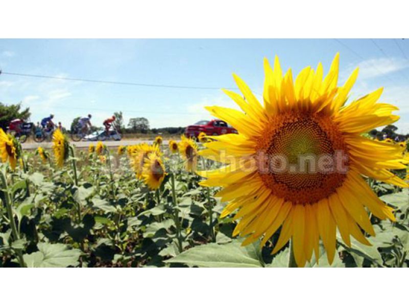 ADDIO ALLA MAMMA DI STEFANO DI SANTO, CARTOGRAFO DEL GIRO