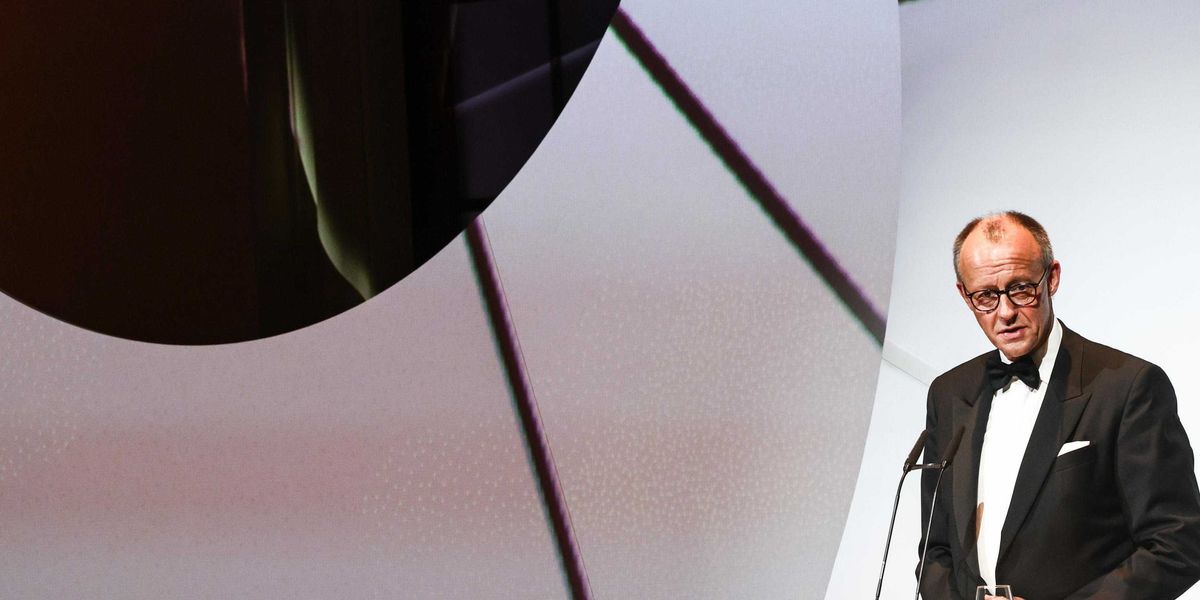 Merz abbatte il prezzo dell’energia per legge