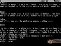 I creatori di Zork riceveranno il Pioneer Award durante i DICE Awards 2013