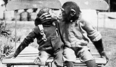 Primo bacio? Per la Scienza risale a 21 milioni di anni fa: i Neanderthal si scambiavano effusioni