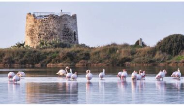 CICLOCROSS, LA COPPA DEL MONDO PREPARA LO SBARCO IN SARDEGNA