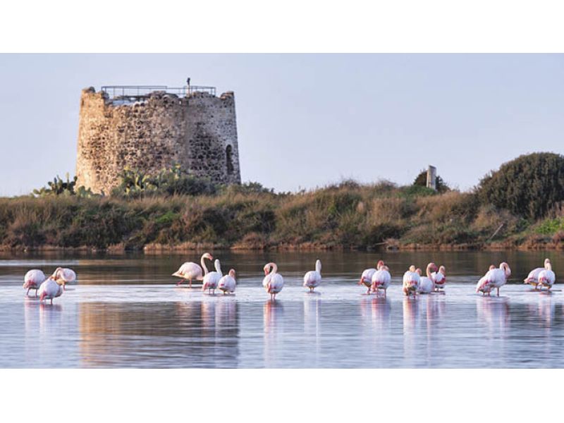 CICLOCROSS, LA COPPA DEL MONDO PREPARA LO SBARCO IN SARDEGNA