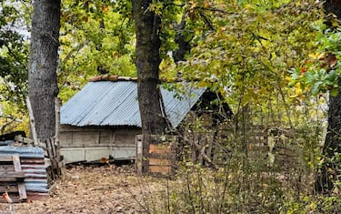 La casa nel bosco a Palmoli dove vivono Nathan Trevallion e Catherine Birmingham a cui oggi il Tribunale per i minorenni di L'Aquila ha disposto la sospensione della potestà genitoriale dei tre figli minori, fra i 6 e gli 8 anni, che vivono con loro in un rudere fatiscente e privo di utenze e in una roulotte in provincia di Chieti. Disposto anche l'allontanamento dei bambini dalla dimora familiare e il loro collocamento in una casa famiglia e nominato un tutore provvisorio dei minori, l'avvocata Maria Luisa Palladino. 
ANSA/ANTONELLA SALVATORE