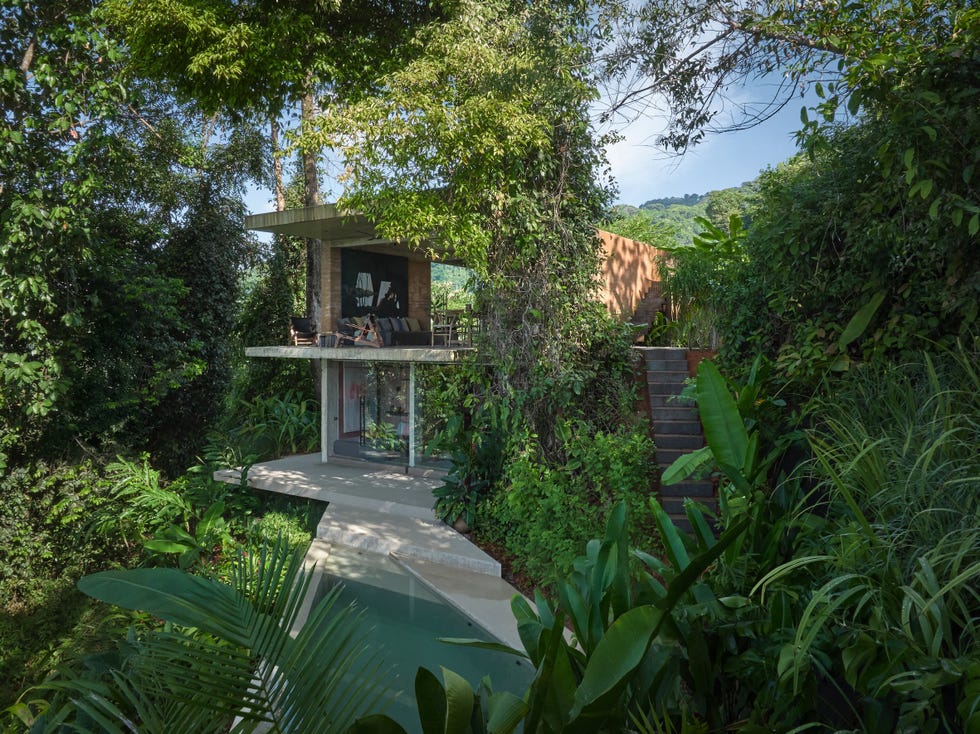 arquitecta diseno su casa en la naturaleza studio house es una vivienda sencilla en la que conviven arquitectura y paisaje