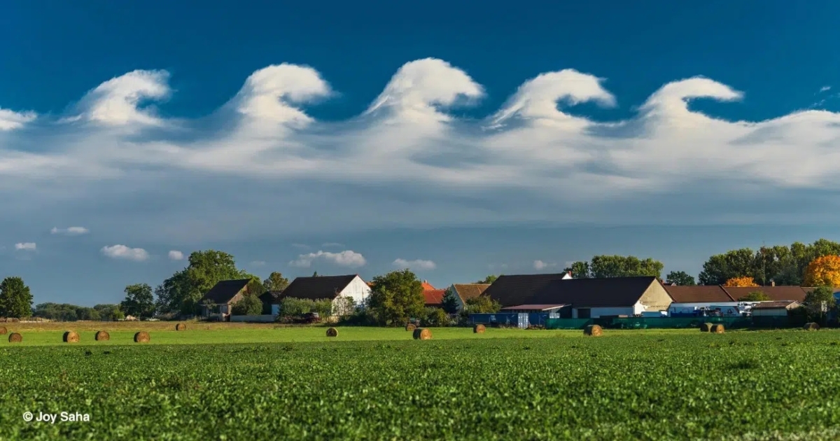 Weather Photographer of the Year 2025