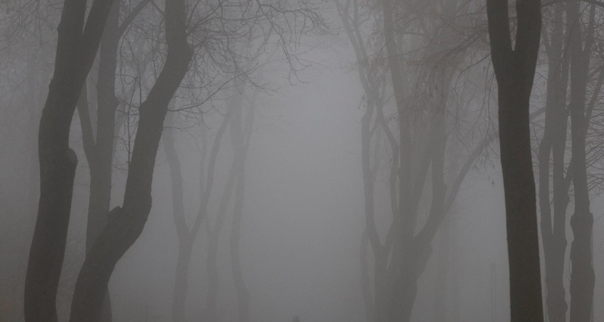 Soldati esausti, pochi tank e caccia: sta crollando il fronte del Donbass - la Repubblica