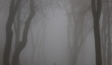 Soldati esausti, pochi tank e caccia: sta crollando il fronte del Donbass - la Repubblica