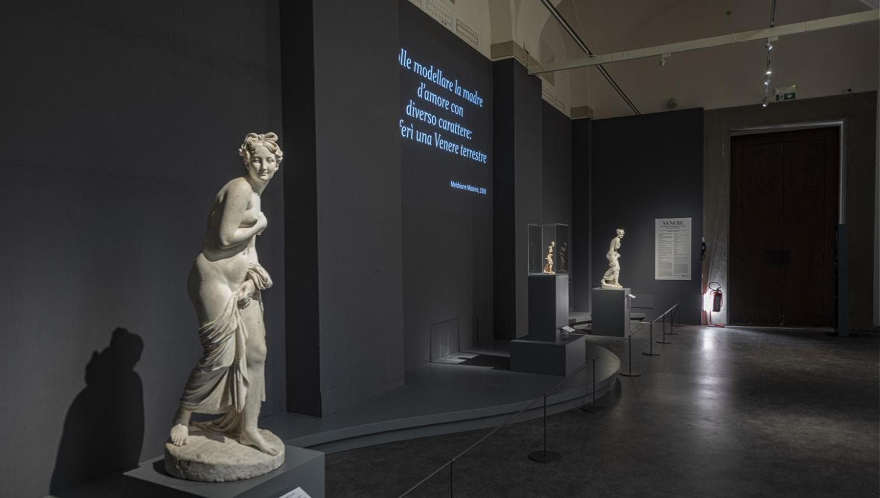 Galleria dell’Accademia: una nuova stagione sotto il segno di Venere - la Repubblica