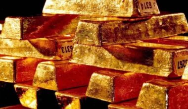 Manovra, il no del Tesoro al prelievo dell’oro di Bankitalia. “Sarebbe un esproprio” - la Repubblica