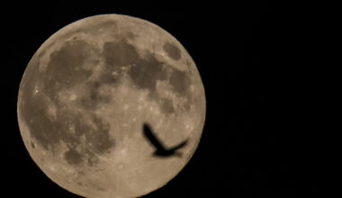 La notte della superluna, gli scatti più belli - Primopiano