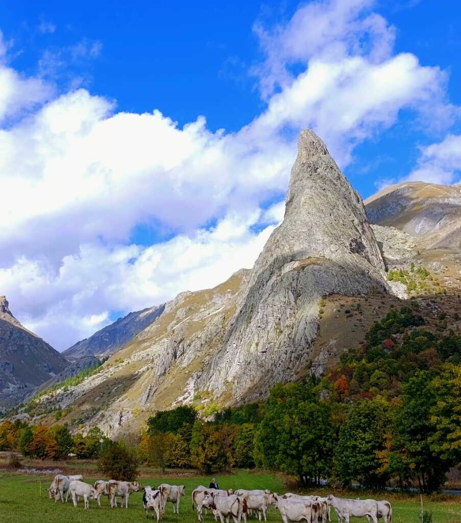 Con la miglior ambientazione, la fotografia “Meeting alla Rocca Provenzale" è la vincitrice assoluta del 24° Concorso Fotografico “La mia Piemontese”