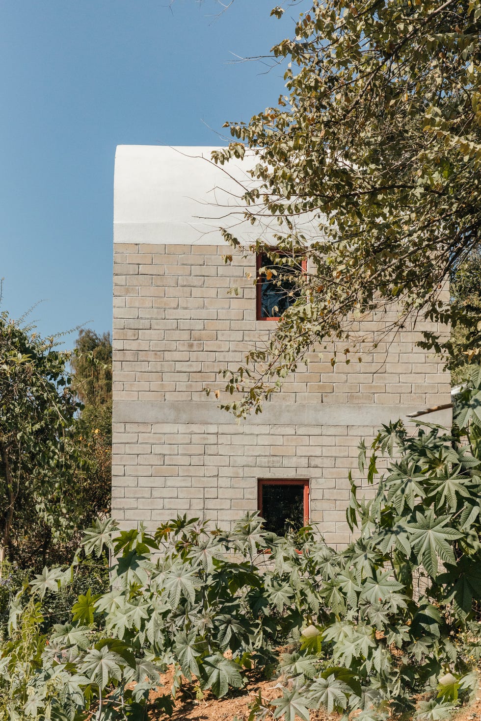 minicasa di 45 metri quadrati