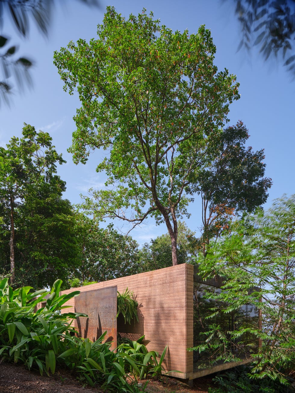 arquitecta diseno su casa en la naturaleza studio house es una vivienda sencilla en la que conviven arquitectura y paisaje