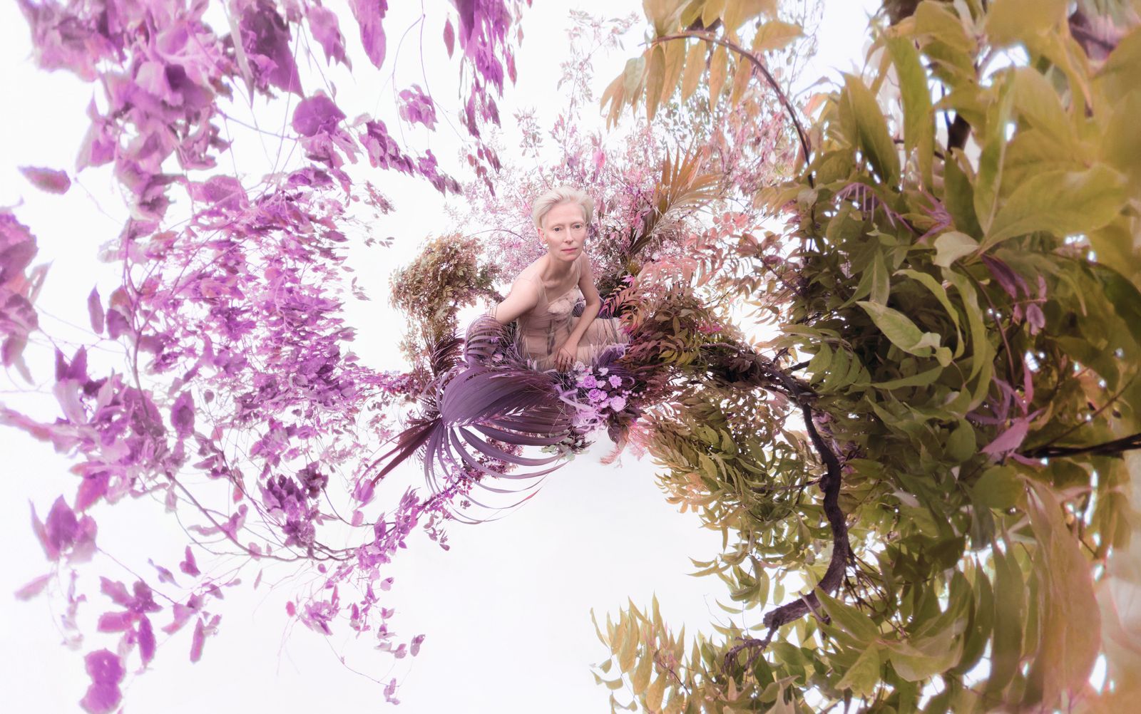 Tilda Swinton. Foto di Sølve Sundsbø