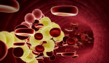 Colesterolo, le terapie di domani con i nuovi farmaci per bocca e le «forbici molecolari»