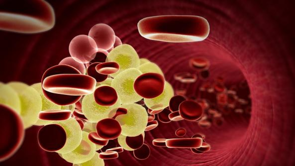 Colesterolo, le terapie di domani con i nuovi farmaci per bocca e le «forbici molecolari»