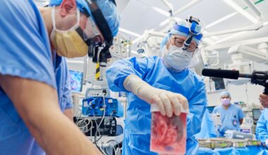 Xenotrapianti, al via il primo trial clinico al mondo per un rene di maiale approvato dalla Fda statunitense