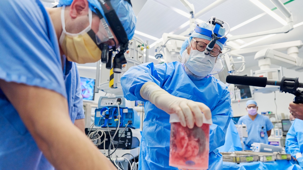 Xenotrapianti, al via il primo trial clinico al mondo per un rene di maiale approvato dalla Fda statunitense