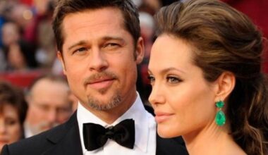 Brad Pitt ha chiesto 35 milioni di dollari di danni ad Angelina Jolie per la vendita del loro vigneto in Francia