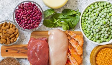 Dieta ed effetti sulla salute: uno studio dimostra che non tutte le proteine vengono digerite allo stesso modo