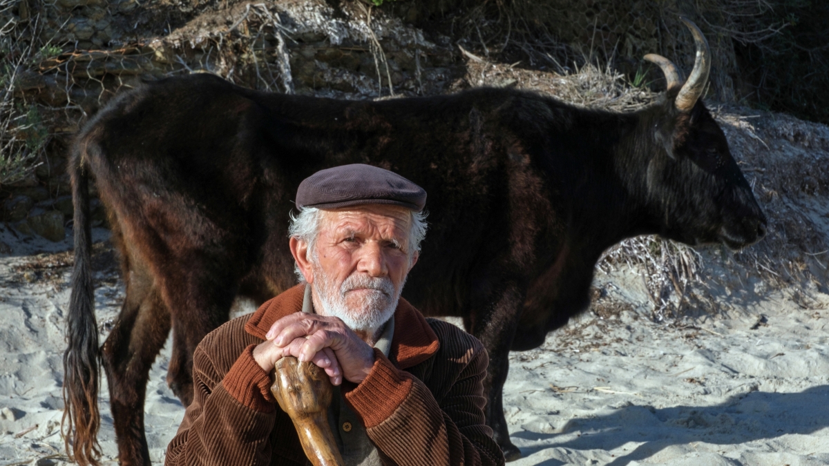 Giuseppe Ignazio Loi, il pastore diventato star con Abatantuono: «Coi soldi del film ho ampliato casa: ora ho il bagno e comprerò la tv. Le pecore? Le ho vendute»