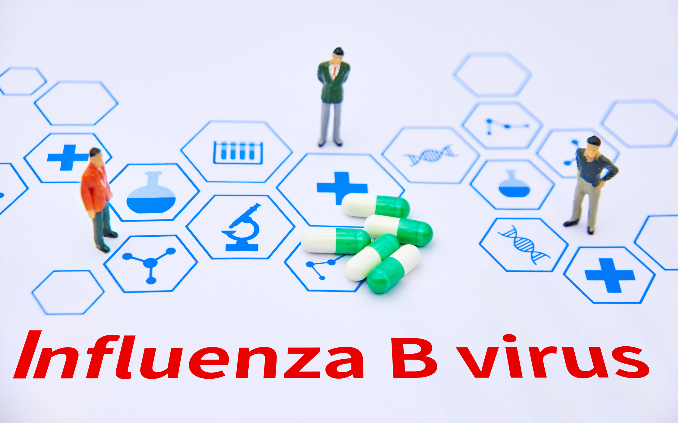 Influenza B virus