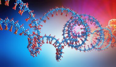 Colesterolo, la rivoluzione dei farmaci che vanno oltre le statine