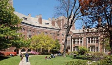 Roma, contesa sulle filze contenenti le lettere fra Vasari e Michelangelo custodite a Yale: gli eredi del Vasari le rivendicano. La Procura contraria alla confisca