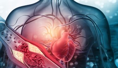 Le fibre tengono anche pulite le arterie. In quali alimenti si trovano (anche confezionati)