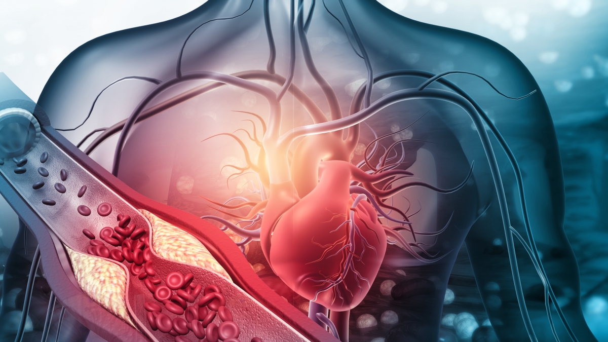 Le fibre tengono anche pulite le arterie. In quali alimenti si trovano (anche confezionati)
