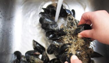 Allarme Escherichia Coli, richiamate cozze allevate in Grecia e confezionate a Taranto. L'avviso del ministero della Salute