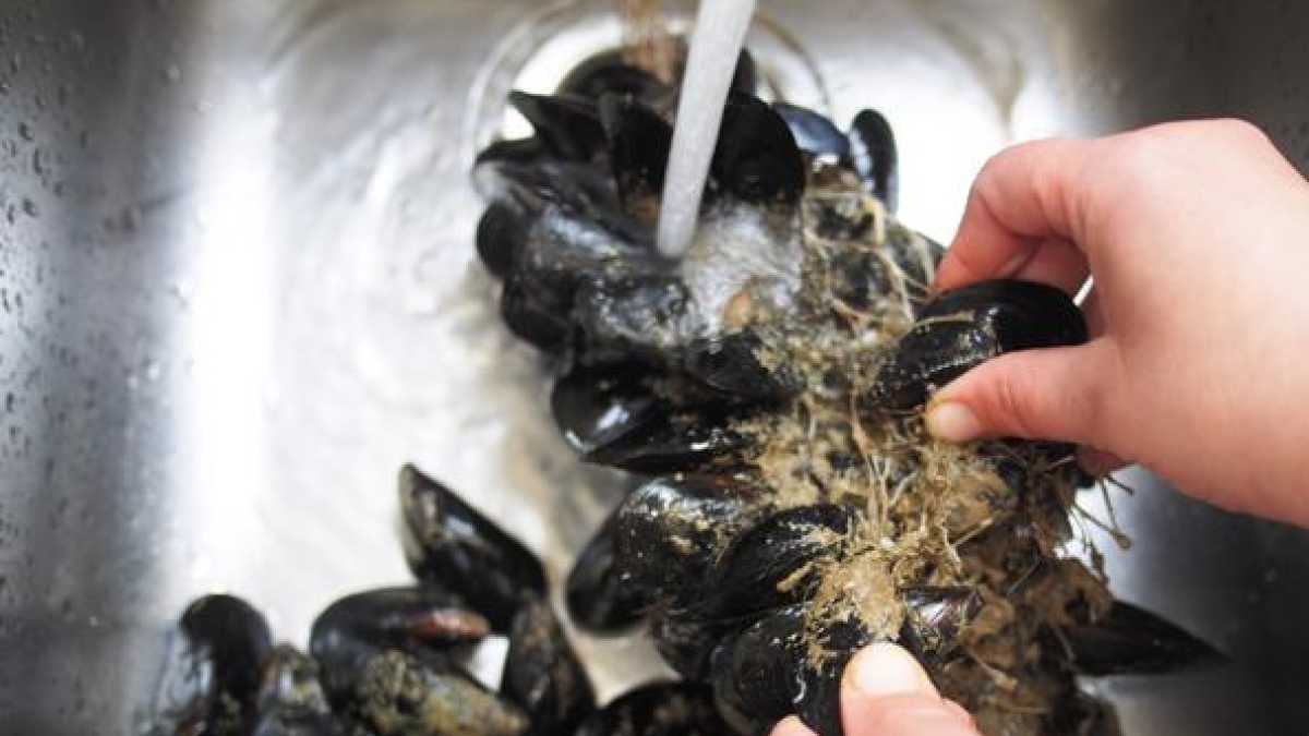 Allarme Escherichia Coli, richiamate cozze allevate in Grecia e confezionate a Taranto. L'avviso del ministero della Salute