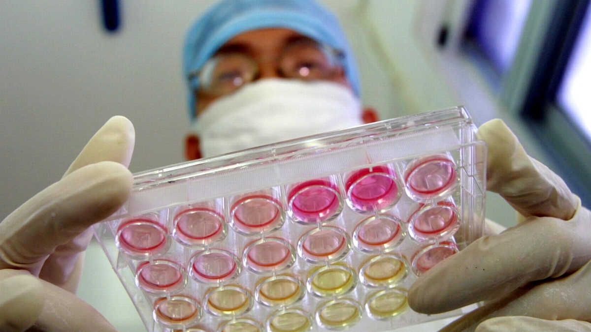 Isole dell'immortalità, celle frigorifere ed estratti di semi: così in Cina si dà la caccia alla vita senza fine. «Tra 10 anni nessuno si ammalerà più di cancro»