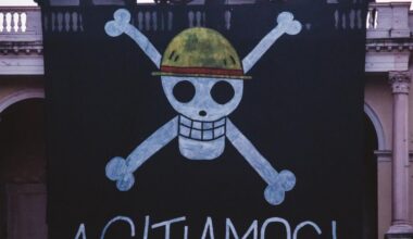 Sciopero a Roma oggi 14 novembre, le notizie in diretta | Lo striscione degli studenti al Pincio, autobus e metro fermi, le proteste in 50 piazze italiane