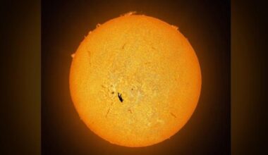 È la foto dell'anno? Lo straordinario scatto del paracadutista in caduta libera sul sole