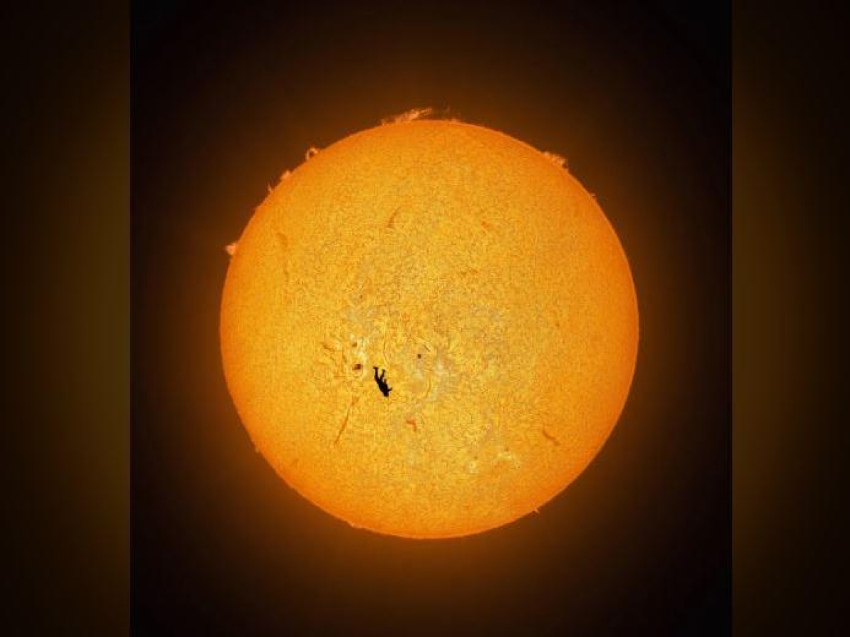 È la foto dell'anno? Lo straordinario scatto del paracadutista in caduta libera sul sole