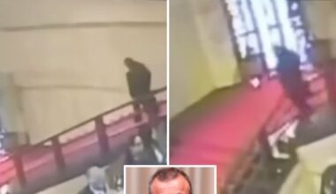 L'assessore che ha rotto la vetrata di Sironi: «I post sui social? Ingiusti ed esagerati. Mi hanno fatto più male dell'incidente»