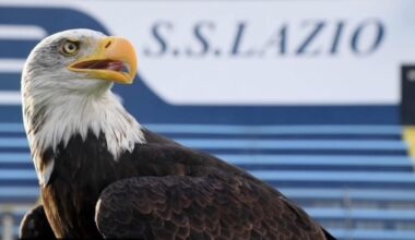 Lazio, nuova aquila: la polemica con il falconiere della protesi peniena
